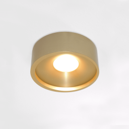 Artdelight Plafondlamp Orlando Ø 14 cm mat mat goud